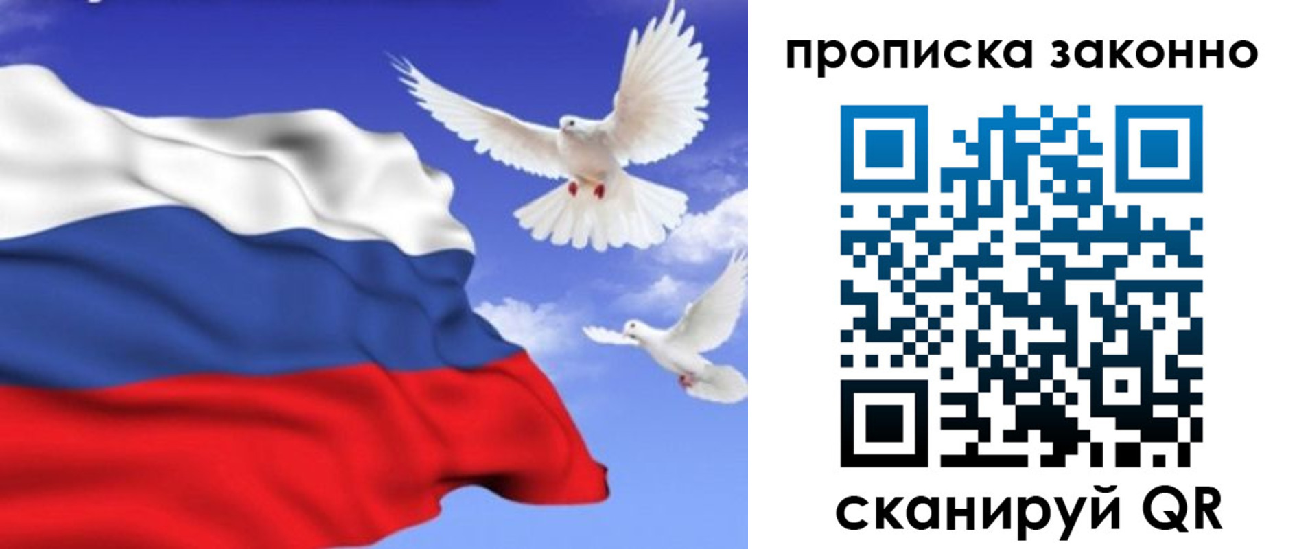 прописка в Поронайске